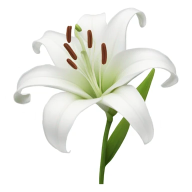 Lily flowers white  sticker