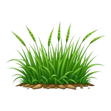 Annual Ryegrass sticker