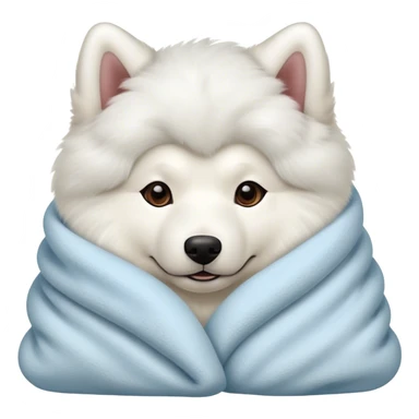 Samoyed cozy in blanket sticker