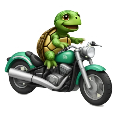 Turtle on a motorcycle sticker