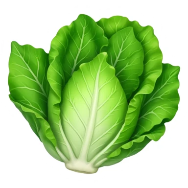 lettuce single  leaf  sticker