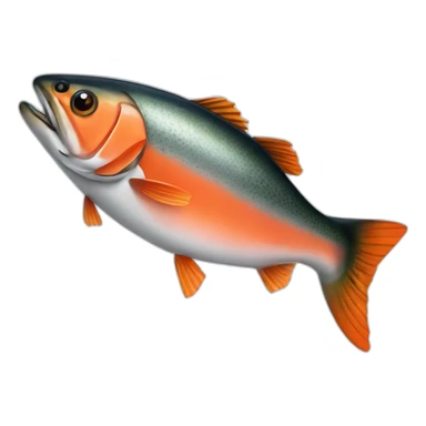 salmon with sweet potato sticker