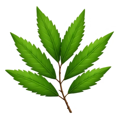 Tea tree leafs sticker