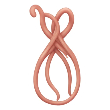 Umbilical cord ￼ sticker