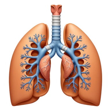 nose, trachea and lungs sticker