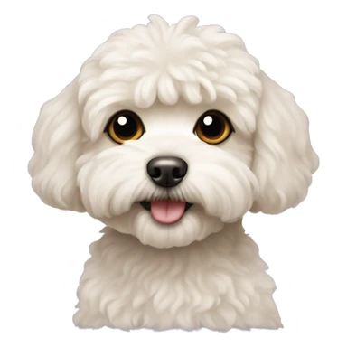 Maltipoo dog sticker