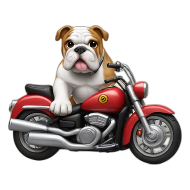 Bulldog on a motorcycle  sticker