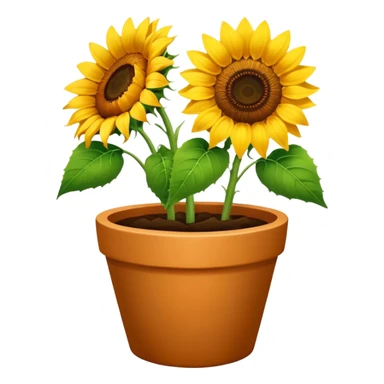 sunflowers pot sticker