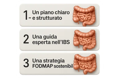 emoji stile iphone di 3 targhette numerate con intestino realistico davanti ad ogni targhetta, le targhette sono:
"1 – Un piano chiaro e strutturato
2 – Una guida esperta nell’IBS
3 – Una strategia FODMAP sostenibile"
, iperrealistico 4k sticker