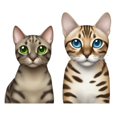 Seal Bengal cat with Blue eyes + charcoal Sepia bengal cat with Green eyes sit Next to each other  sticker