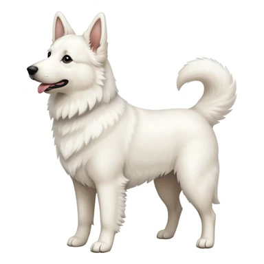 white Swiss Shepherd dog sticker