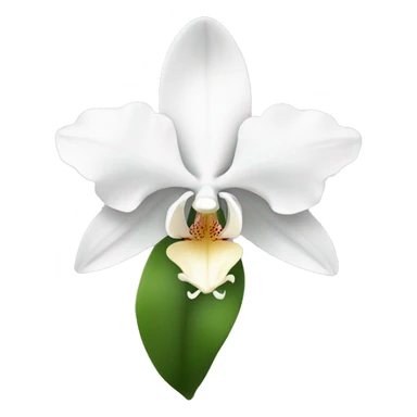 White orchid flower sticker