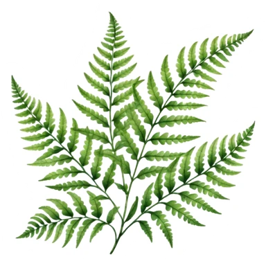 A close-up of a fern plant with intricate leaves, painted in soft watercolor greens with a subtle textured background.
 sticker