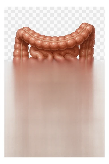 Realistic medical image of microscopic parasites leaving the intestines after taking natural kinesiological drops, symbolizing detox and cleansing. sticker