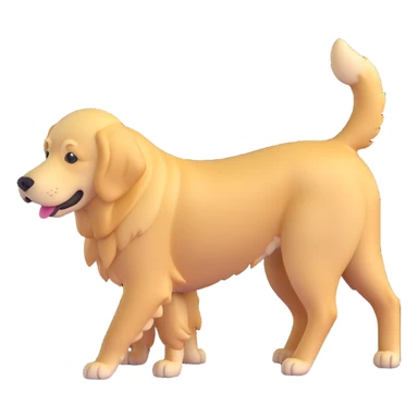 realistic golden retriever, back down, face up, four legs visible sticker