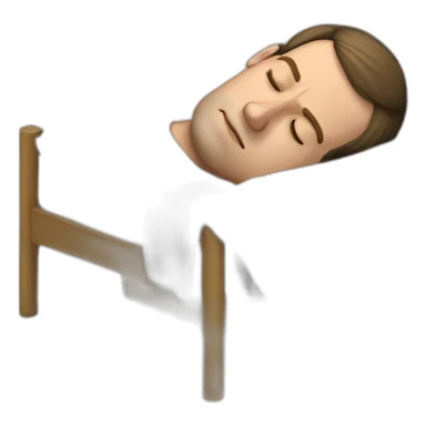 Emmanuel Macron sleeping  sticker