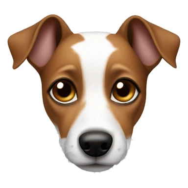Jack Russel terrier with ears brown and around eyes brown but middle part is white sticker