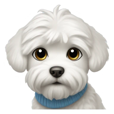White maltese puppy with blue sweater sticker