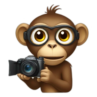 monkey and filming camera sticker