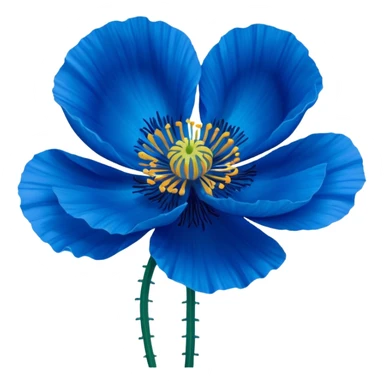 Realistic Still life, Blue Poppy flower sticker