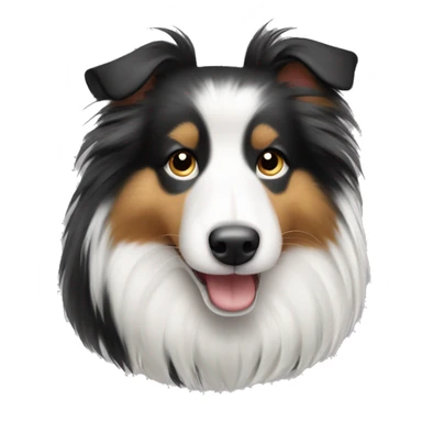 Black and white Shetland sheepdog sticker