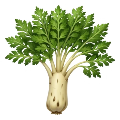 parsley root sticker