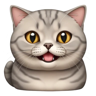 scottish fold british shorthair mix gray cat hissing sticker