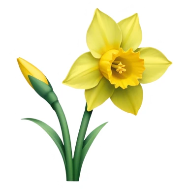 single Daffodil stem sticker