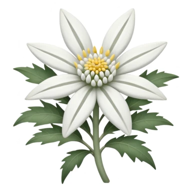 edelweiss sticker