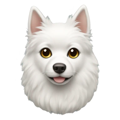 White Pomeran  sticker