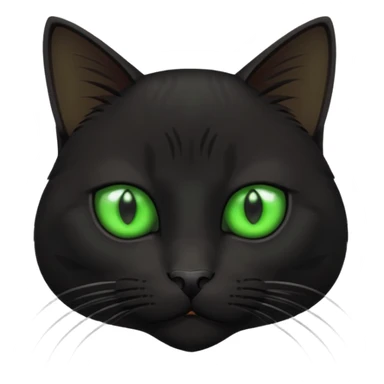 black Office cat sticker