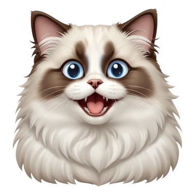 cinematic-adorable-big-eyed-fluffy-dark brown and white ragdoll-cat-portrait-emoji,-head-tilted-playfully-with-a-cute,-yawn,-soft-brown-and white-colored-fur-with-darker-points-on-the-ears,-simplified-yet-irresistibly-cute-features, sparkling blue eyes sticker