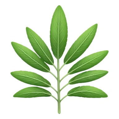 sage herb sticker