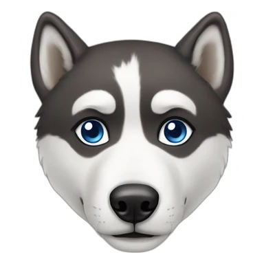 A Husky with one bleu eye and brown sticker