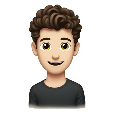 Shawn mendes sticker