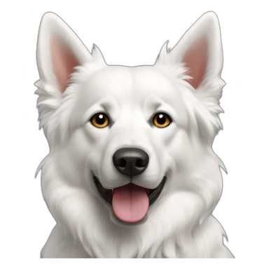 Chien berger suisse blanc sticker