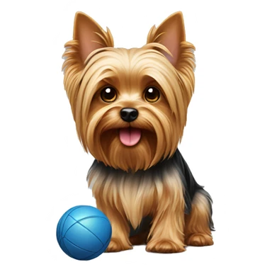Yorkshire terrier with a ball sticker