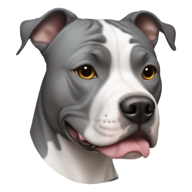 Grey American Staffordshire terrier with white spot  sticker