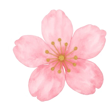 pink cherry blossom with gold accents, no background sticker