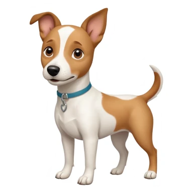 a full body white jack russel looking dog the size of a kelpie with light brown ears and a light brown patch on one eye and a large snout sticker