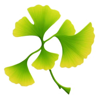 Ginkgo biloba  sticker