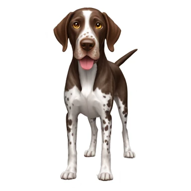 German Shorthaired Pointer Dog Breed Full Body sticker