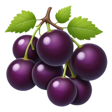 Black currant sticker
