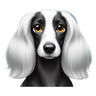 Black and white long haired dachshunds  sticker