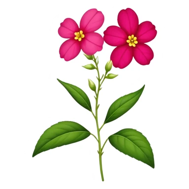 single Impatiens Balsamina flower stem sticker