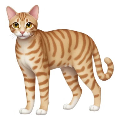 Ocicat Cat Full Body sticker