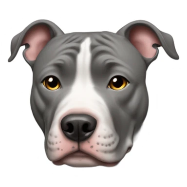 pitbull dog grey in love sticker