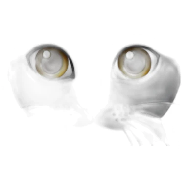 Grey cat with leff-blind-eye sticker