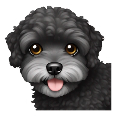 black maltipoo sticker