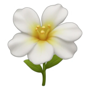 ramonda flower sticker